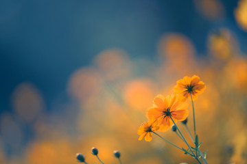 怎样炸好油炸糕不裂口子