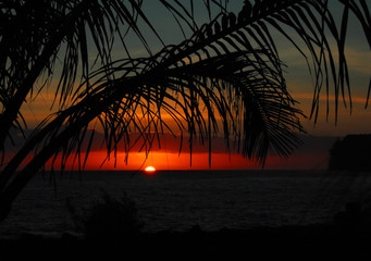 减肥晚餐吃什么食物好？