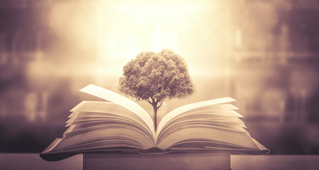 沉木放在鱼缸里水发黄怎么办