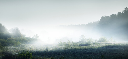 沉木放在鱼缸里水发黄怎么办