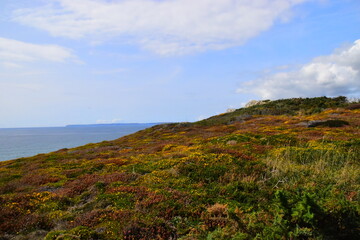 汽车修理工安全操作规程与流程