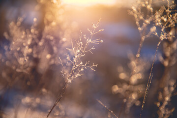 怎样炸好油炸糕不裂口子