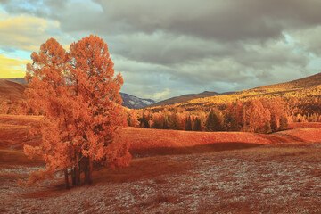 年满70的老人可以办理深圳居住证吗