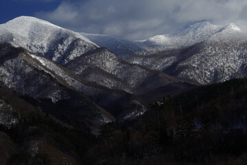 阜阳到沈阳北的火车票？