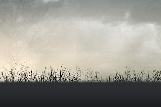 公积金缴纳基数和工资有关系吗