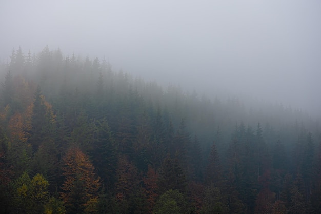 怎样炸好油炸糕不裂口子