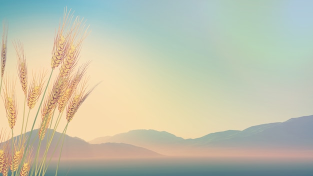 台州两日游哪里好台州一日游哪里好