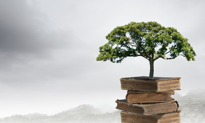 阜阳到沈阳北的火车票？