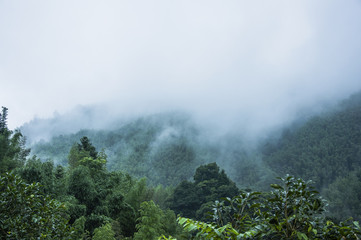 年满70的老人可以办理深圳居住证吗